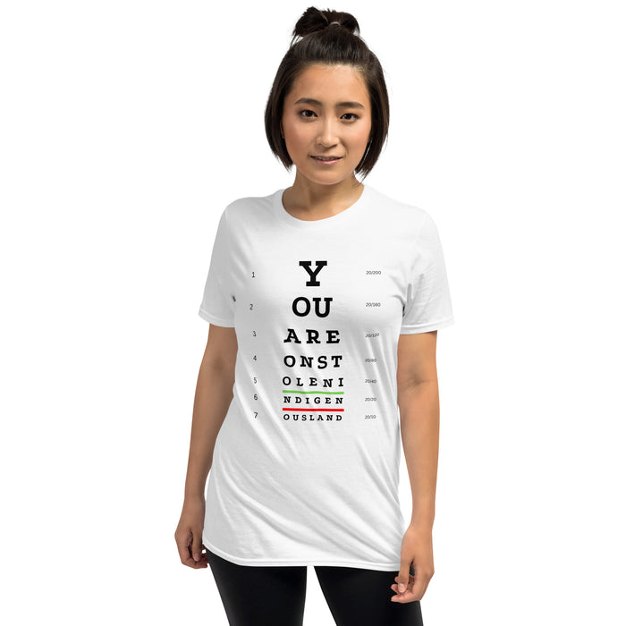 You are on Stolen Indigenous Land | Lightweight Tee